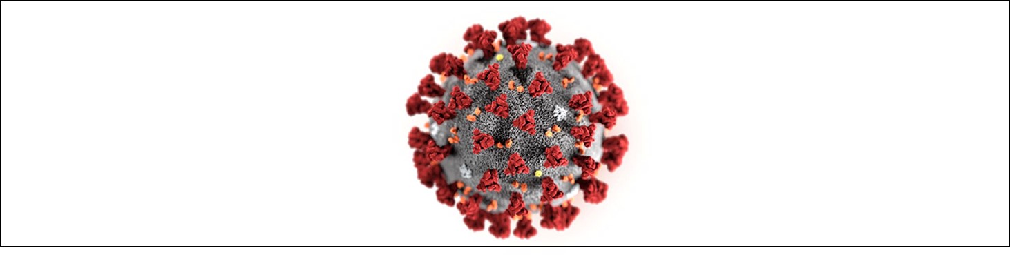 Coronavirus