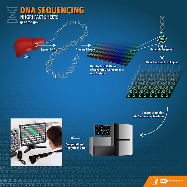 DNA sequencing NHGRI